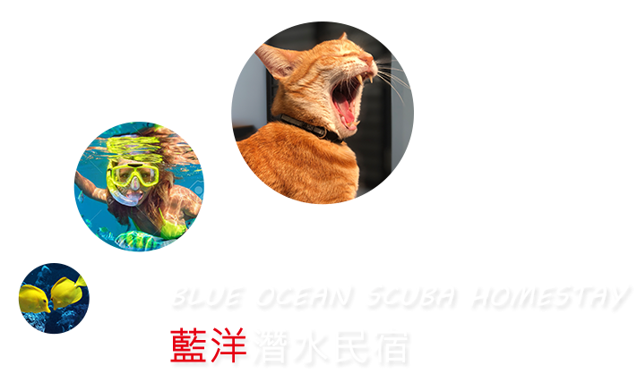 藍洋潛水民宿